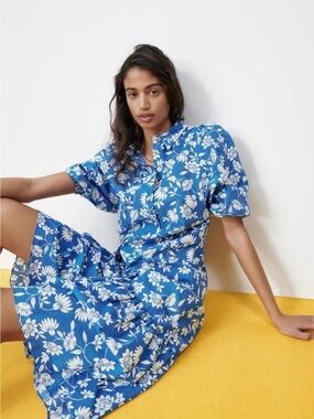 Zara Blue and White Floral Dress